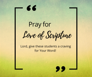 Let's pray for each other.