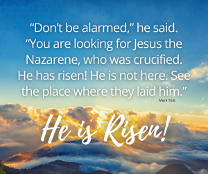 Blessed is He who comes in the Name of the Lord!