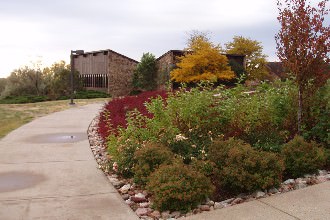 The campus during mid fall.