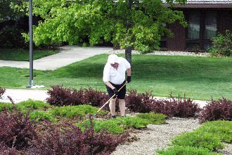 Student working the gardens around Ward Bell Tower.