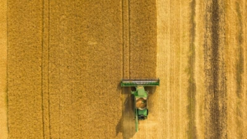Harvest Will Come