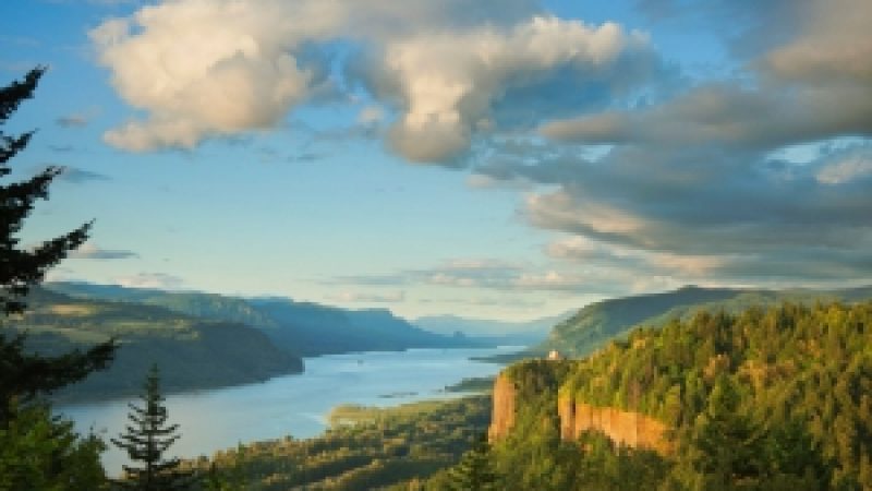 Oregon Beauty