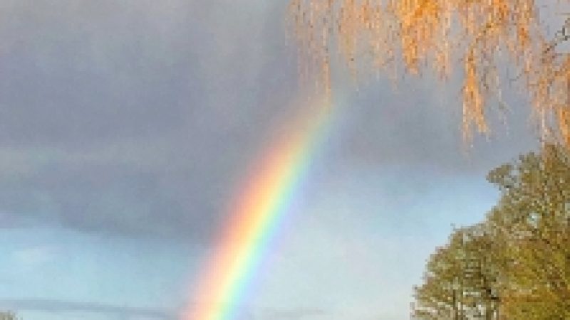 Hope